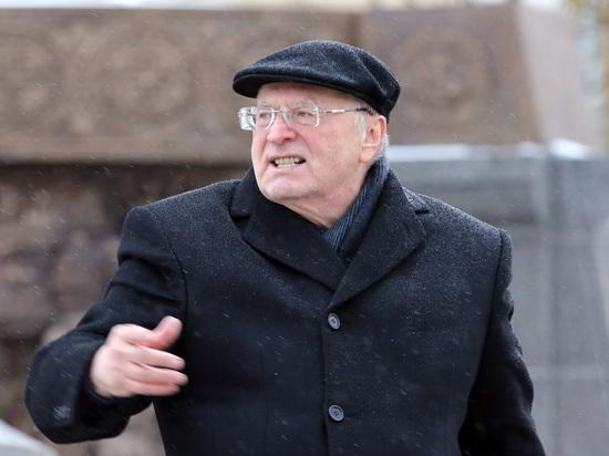 За оскорбление Хинштейна Жириновскому в Думе пригрозили наказанием