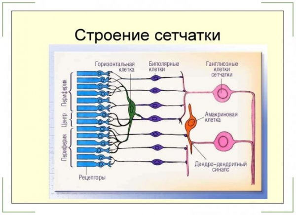 Лечение дистрофии сетчатки в Москве